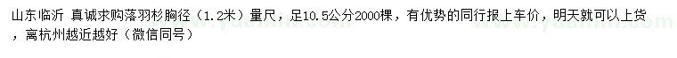 求購1.2米胸徑量足10.5公分落羽杉