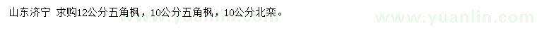 求購(gòu)10、12公分五角楓、10公分北欒