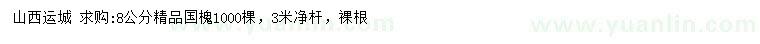 求購(gòu)8公分精品國(guó)槐