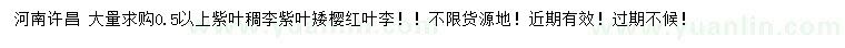 求購紫葉稠李、紫葉矮櫻、紅葉李