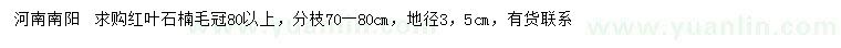 求購地徑3.5公分紅葉石楠