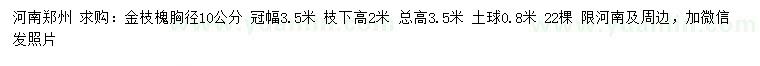 求購(gòu)胸徑10公分金枝槐