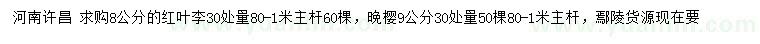 求購30量8公分紅葉李、9公分晚櫻