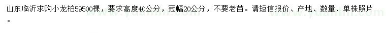 求購高度40公分小龍柏