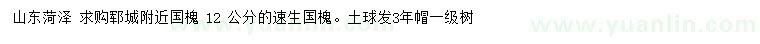 求購12 公分速生國槐