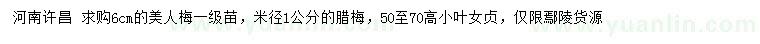 求購美人梅、臘梅、小葉女貞