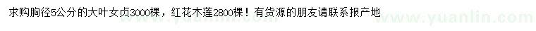 求購(gòu)胸徑5公分大葉女貞、紅花木蓮