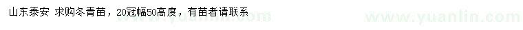 求購(gòu)冠幅20公分冬青苗