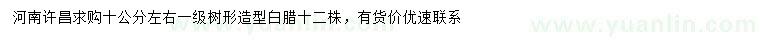 求購10公分左右造型白臘