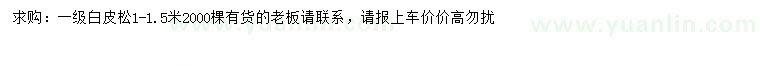 求購1-1.5米白皮松