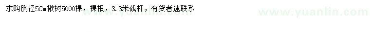 求購(gòu)胸徑5公分楸樹