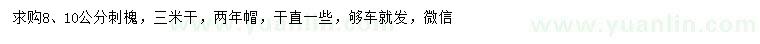 求購8、10公分刺槐