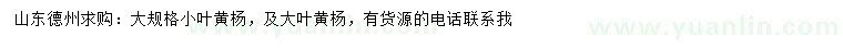 求購小葉黃楊、大葉黃楊