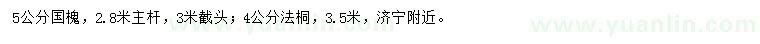 求購5公分國槐、4公分法桐