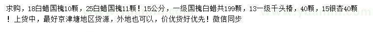 求購白蠟、國槐、千頭椿