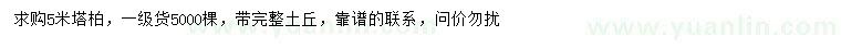 求購5米塔柏