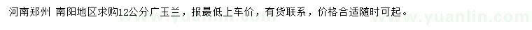 求購12公分廣玉蘭