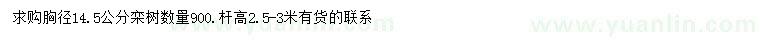 求購胸徑14.5公分欒樹