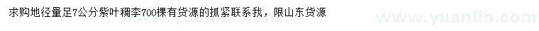 求購地徑量足7公分紫葉稠李