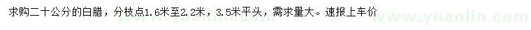 求購20公分白臘