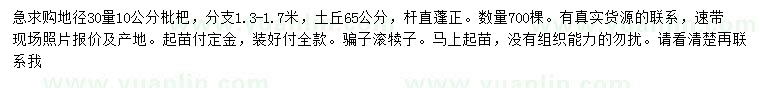 求購地徑30量10公分枇杷