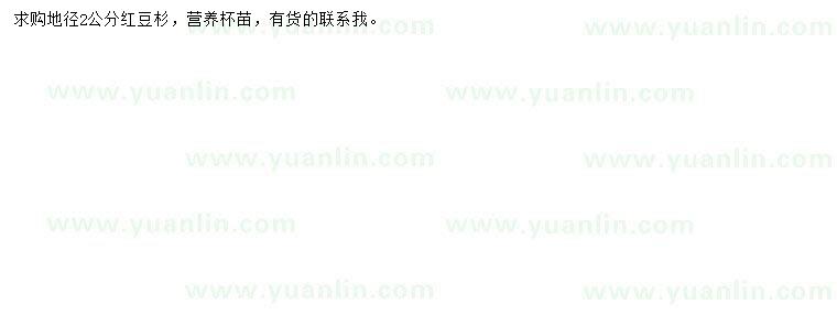 求購地徑2公分紅豆杉苗