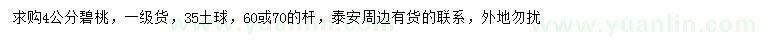 求購4公分碧桃