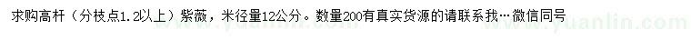 求購(gòu)米徑量12公分紫薇