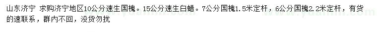 求購速生國槐、速生白蠟、國槐