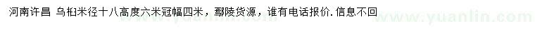 求購米徑18公分烏桕
