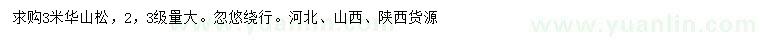 求購3米華山松