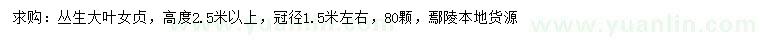 求購高度2.5米以上叢生大葉女貞