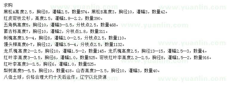 求購黑松、云杉、五角楓等