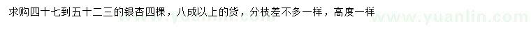 求購47-53公分銀杏