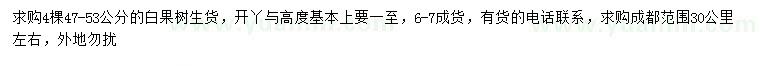 求購47-53公分銀杏