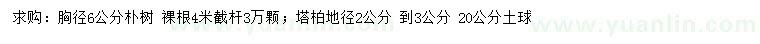 求購(gòu)胸徑6公分樸樹(shù)、地徑2-3公分塔柏