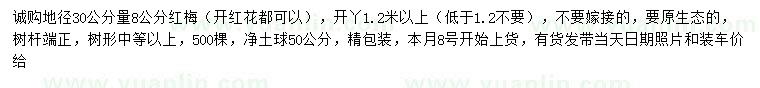 求購30量8公分紅梅