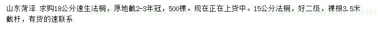 求購15、18公分速生法桐