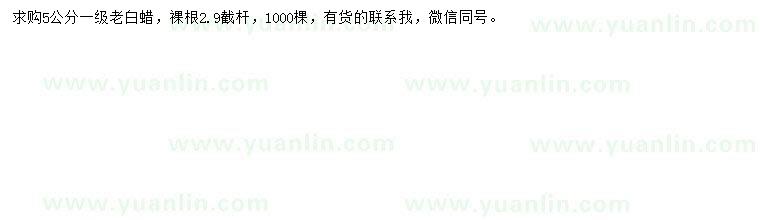 求購5公分老白蠟