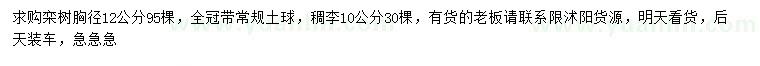 求購胸徑12公分欒樹、10公分欒樹