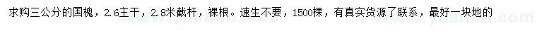 求購3公分國槐