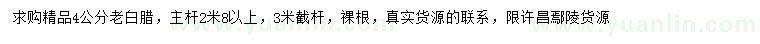 求購4公分精品老白臘
