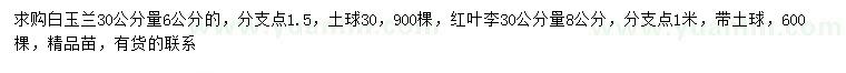 求購30公分量6公白玉蘭、8公分紅葉李