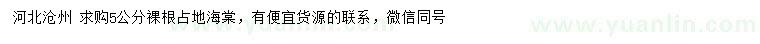 求購(gòu) 5公分海棠
