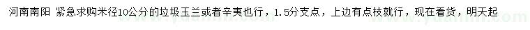 求購米徑10公分垃圾玉蘭、辛夷