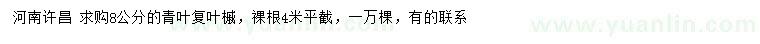 求購(gòu)8公分青葉復(fù)葉槭