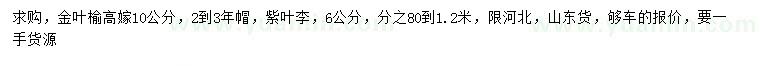 求購(gòu)10公分金葉榆、6公分紫葉李