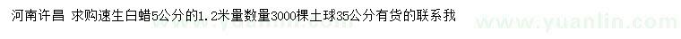 求購1.2米量5公分速生白蠟