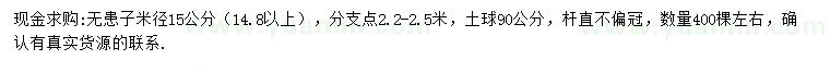 求購米徑15公分無患子