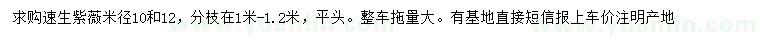 求購米徑10、12公分速生紫薇